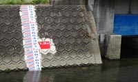 量水標画像